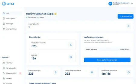 Upphafssíða þjónustuvefs Terra